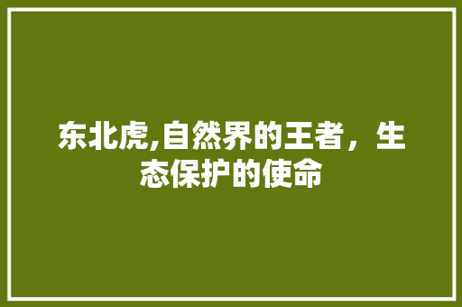 东北虎,自然界的王者，生态保护的使命 东北虎,自然界的王者，生态保护的使命 百度SEO