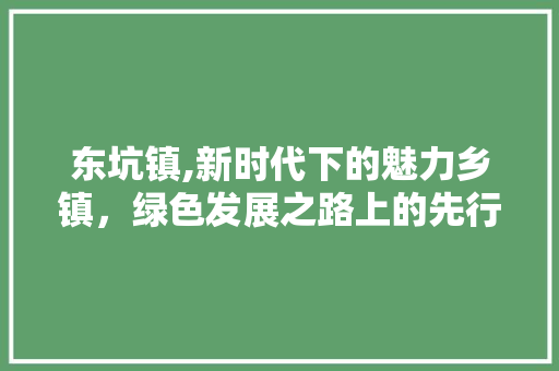 东坑镇,新时代下的魅力乡镇，绿色发展之路上的先行者 东坑镇,新时代下的魅力乡镇，绿色发展之路上的先行者 搜狗SEO