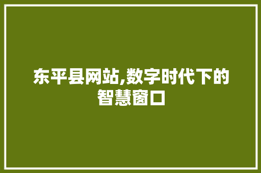 东平县网站,数字时代下的智慧窗口 东平县网站,数字时代下的智慧窗口 百度SEO