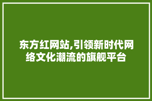 东方红网站,引领新时代网络文化潮流的旗舰平台