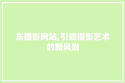 东摄影网站,引领摄影艺术的新风尚