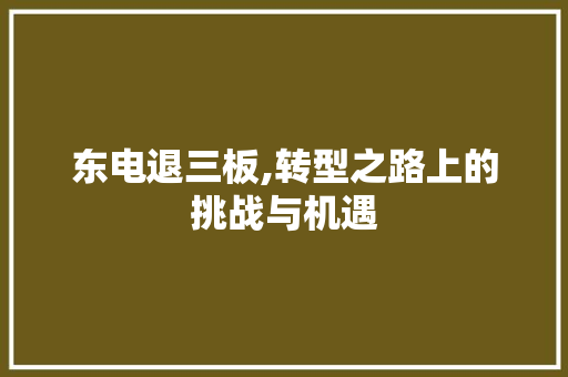 东电退三板,转型之路上的挑战与机遇 东电退三板,转型之路上的挑战与机遇 搜狗SEO