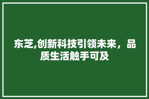 东芝,创新科技引领未来，品质生活触手可及 东芝,创新科技引领未来，品质生活触手可及 SEO关键词
