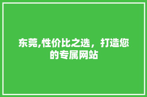 东莞,性价比之选，打造您的专属网站 东莞,性价比之选，打造您的专属网站 网站建设公司