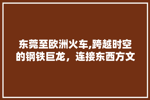 东莞至欧洲火车,跨越时空的钢铁巨龙，连接东西方文明的新纽带