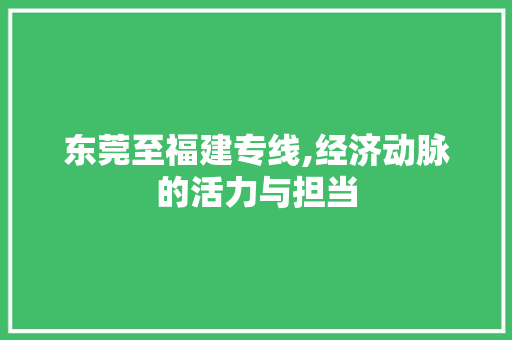 东莞至福建专线,经济动脉的活力与担当 东莞至福建专线,经济动脉的活力与担当 神马SEO