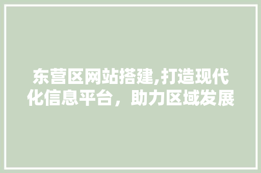 东营区网站搭建,打造现代化信息平台，助力区域发展新篇章 东营区网站搭建,打造现代化信息平台，助力区域发展新篇章 必应SEO