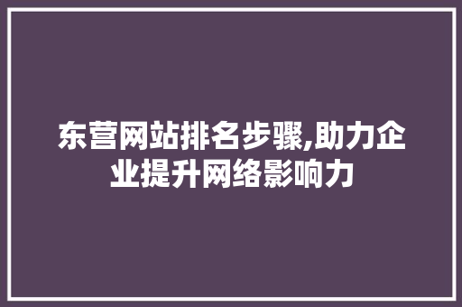 东营网站排名步骤,助力企业提升网络影响力 东营网站排名步骤,助力企业提升网络影响力 网站建设公司