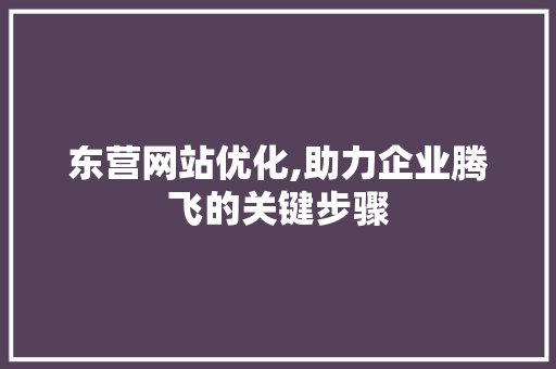 东营网站优化,助力企业腾飞的关键步骤 东营网站优化,助力企业腾飞的关键步骤 百度SEO