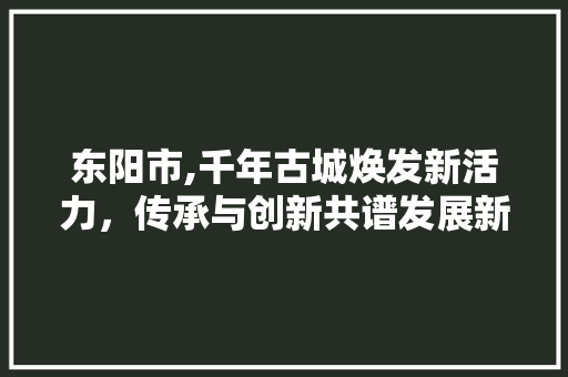 东阳市,千年古城焕发新活力，传承与创新共谱发展新篇 东阳市,千年古城焕发新活力，传承与创新共谱发展新篇 搜狗SEO