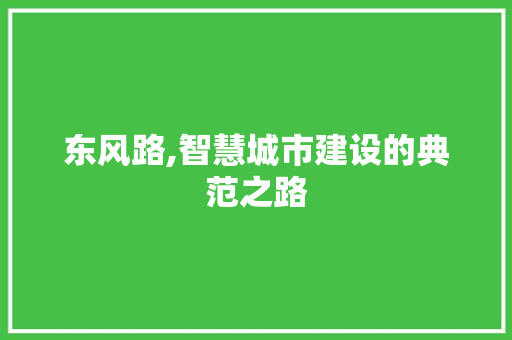 东风路,智慧城市建设的典范之路 东风路,智慧城市建设的典范之路 SEO关键词