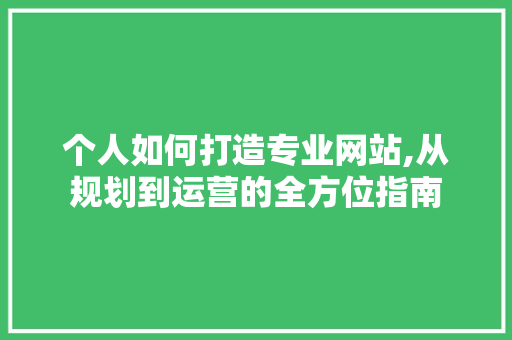 个人如何打造专业网站,从规划到运营的全方位指南 个人如何打造专业网站,从规划到运营的全方位指南 搜狗SEO