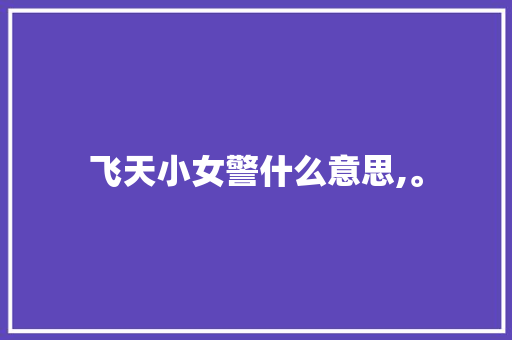 飞天小女警什么意思,。 飞天小女警什么意思,。 百度SEO