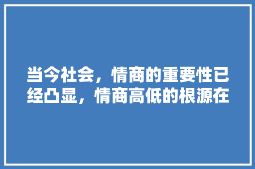 当今社会，情商的重要性已经凸显，情商高低的根源在哪里,为什么用户体验最重要呢。 当今社会，情商的重要性已经凸显，情商高低的根源在哪里,为什么用户体验最重要呢。 网站建设公司