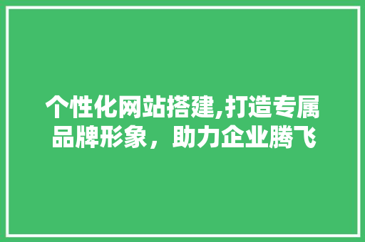 个性化网站搭建,打造专属品牌形象，助力企业腾飞 个性化网站搭建,打造专属品牌形象，助力企业腾飞 网站建设公司