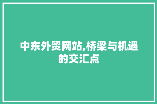 中东外贸网站,桥梁与机遇的交汇点 中东外贸网站,桥梁与机遇的交汇点 网站建设公司