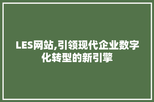 LES网站,引领现代企业数字化转型的新引擎 LES网站,引领现代企业数字化转型的新引擎 网站建设公司