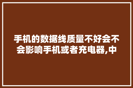 手机的数据线质量不好会不会影响手机或者充电器,中动阻是什么病。