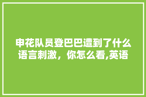 申花队员登巴巴遭到了什么语言刺激，你怎么看,英语唇语为什么看不懂呢。