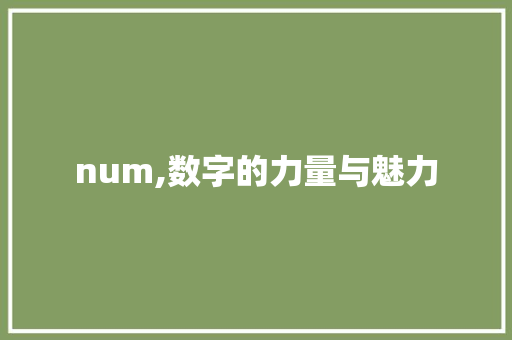 num,数字的力量与魅力 num,数字的力量与魅力 神马SEO