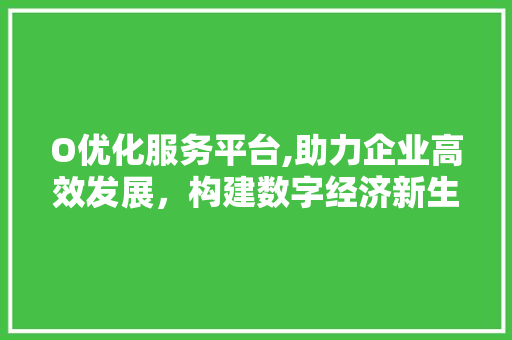 O优化服务平台,助力企业高效发展，构建数字经济新生态 O优化服务平台,助力企业高效发展，构建数字经济新生态 SEO关键词