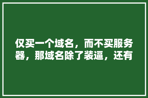 仅买一个域名，而不买服务器，那域名除了装逼，还有什么作用,为什么要购买域名服务器。 仅买一个域名，而不买服务器，那域名除了装逼，还有什么作用,为什么要购买域名服务器。 神马SEO