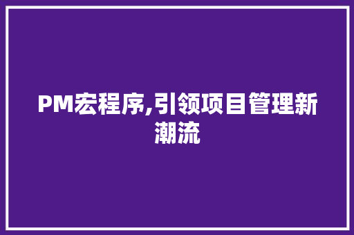 PM宏程序,引领项目管理新潮流
