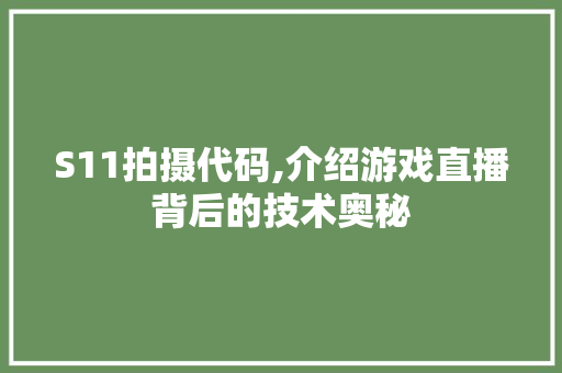 S11拍摄代码,介绍游戏直播背后的技术奥秘 S11拍摄代码,介绍游戏直播背后的技术奥秘 搜狗SEO