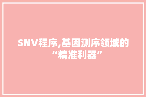 SNV程序,基因测序领域的“精准利器” SNV程序,基因测序领域的“精准利器” SEO关键词