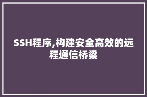 SSH程序,构建安全高效的远程通信桥梁 SSH程序,构建安全高效的远程通信桥梁 搜狗SEO