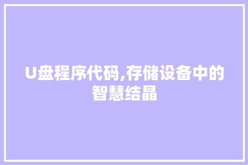 U盘程序代码,存储设备中的智慧结晶 U盘程序代码,存储设备中的智慧结晶 必应SEO