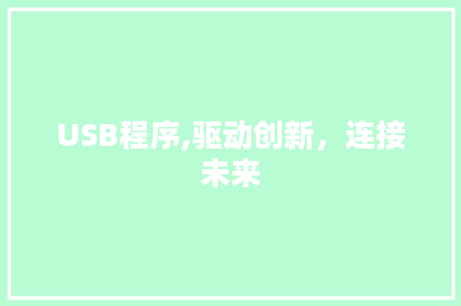 USB程序,驱动创新，连接未来 USB程序,驱动创新，连接未来 必应SEO