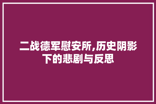 二战德军慰安所,历史阴影下的悲剧与反思 二战德军慰安所,历史阴影下的悲剧与反思 网站建设公司