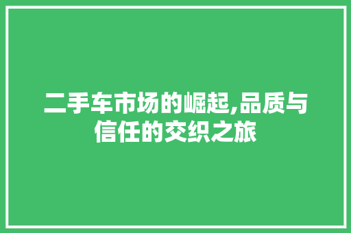 二手车市场的崛起,品质与信任的交织之旅 二手车市场的崛起,品质与信任的交织之旅 必应SEO