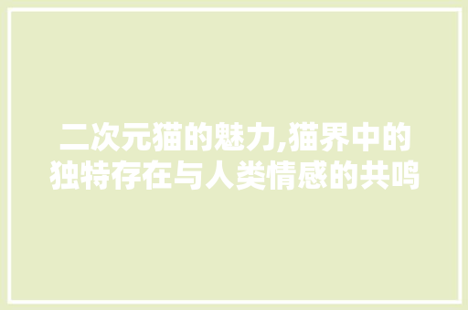 二次元猫的魅力,猫界中的独特存在与人类情感的共鸣 二次元猫的魅力,猫界中的独特存在与人类情感的共鸣 网站建设公司