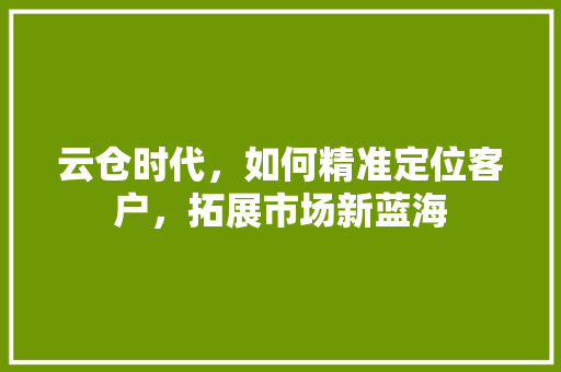云仓时代，如何精准定位客户，拓展市场新蓝海 云仓时代，如何精准定位客户，拓展市场新蓝海 SEO关键词