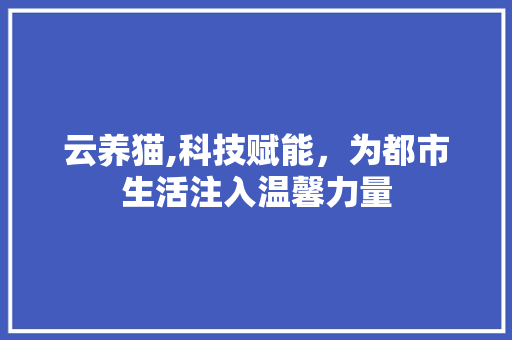 云养猫,科技赋能，为都市生活注入温馨力量 云养猫,科技赋能，为都市生活注入温馨力量 必应SEO