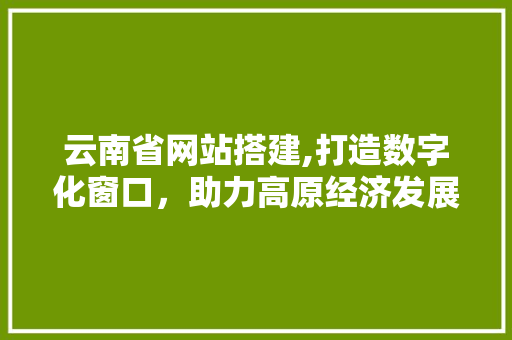 云南省网站搭建,打造数字化窗口，助力高原经济发展 云南省网站搭建,打造数字化窗口，助力高原经济发展 百度SEO