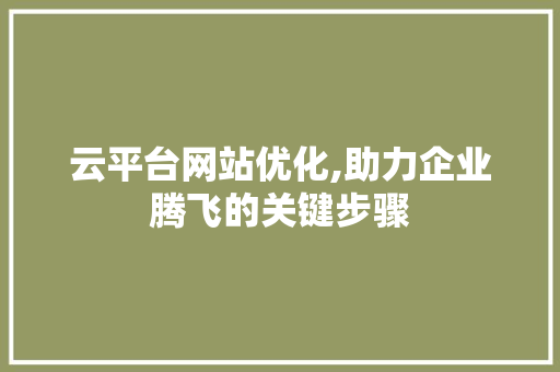 云平台网站优化,助力企业腾飞的关键步骤 云平台网站优化,助力企业腾飞的关键步骤 神马SEO