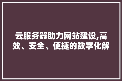 云服务器助力网站建设,高效、安全、便捷的数字化解决方法 云服务器助力网站建设,高效、安全、便捷的数字化解决方法 网站建设公司