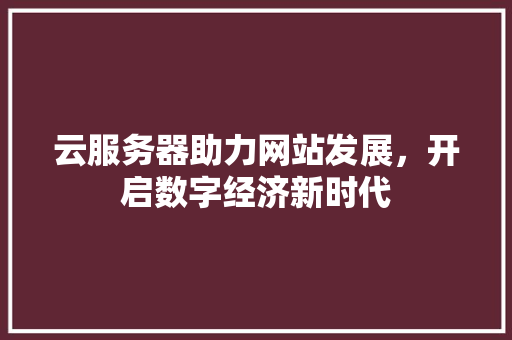 云服务器助力网站发展，开启数字经济新时代 云服务器助力网站发展，开启数字经济新时代 必应SEO