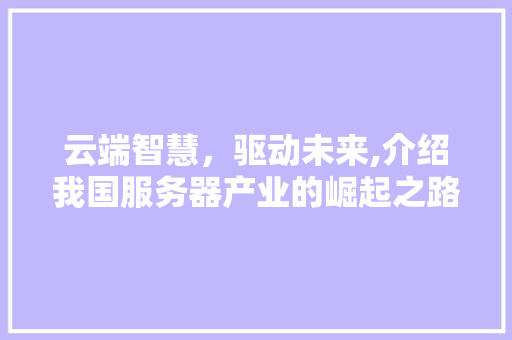 云端智慧，驱动未来,介绍我国服务器产业的崛起之路 云端智慧，驱动未来,介绍我国服务器产业的崛起之路 SEO关键词