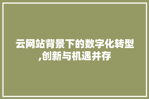 云网站背景下的数字化转型,创新与机遇并存 云网站背景下的数字化转型,创新与机遇并存 SEO关键词