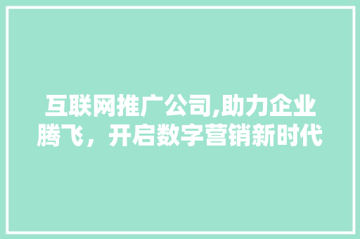 互联网推广公司,助力企业腾飞，开启数字营销新时代