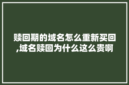 赎回期的域名怎么重新买回,域名赎回为什么这么贵啊。 赎回期的域名怎么重新买回,域名赎回为什么这么贵啊。 神马SEO