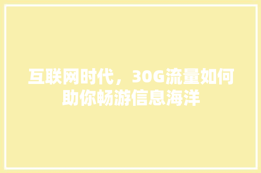 互联网时代，30G流量如何助你畅游信息海洋 互联网时代，30G流量如何助你畅游信息海洋 神马SEO