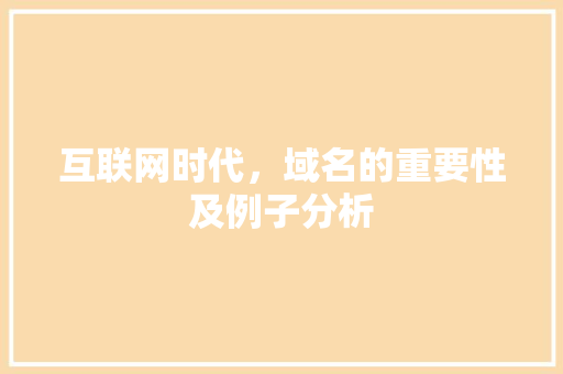 互联网时代，域名的重要性及例子分析 互联网时代，域名的重要性及例子分析 神马SEO