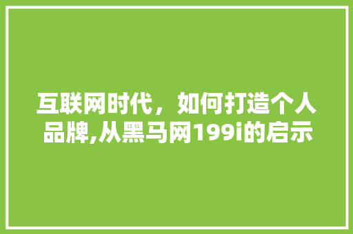 互联网时代，如何打造个人品牌,从黑马网199i的启示 互联网时代，如何打造个人品牌,从黑马网199i的启示 百度SEO