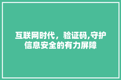 互联网时代，验证码,守护信息安全的有力屏障 互联网时代，验证码,守护信息安全的有力屏障 必应SEO