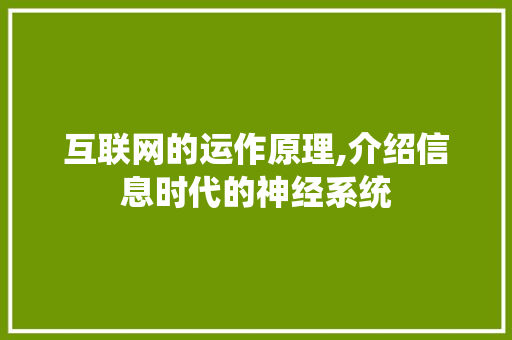 互联网的运作原理,介绍信息时代的神经系统 互联网的运作原理,介绍信息时代的神经系统 网站建设公司